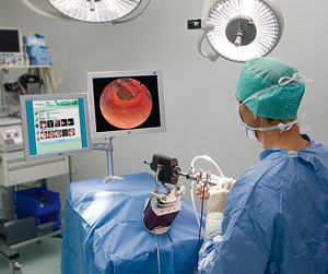 Training einer Gebärmutterspiegelung mit dem Hysteroskopie-Chirurgiesimulator