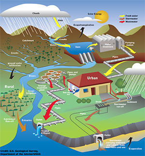 Schadstoffe Gewässer (Modell)