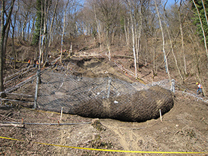 Hangrutschung Rüdlingen