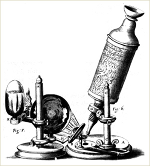 Mikroskop von Robert Hooke