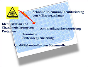 Anwendungsbereiche MALDI