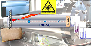 MALDI-TOF Massenspektrometrie
