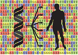 Wegweiser durch das Genom