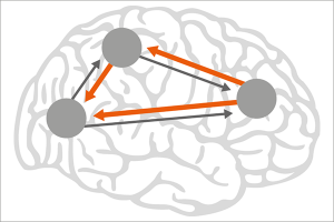 Neuromodelling