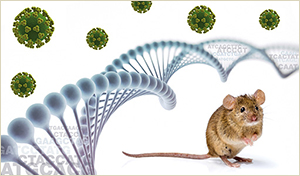 Visualisierung DNA Helix und Maus