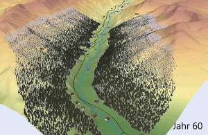 Wald Simulation