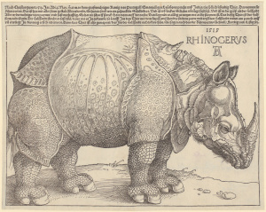 Albrecht Dürers "Rhinozeros"